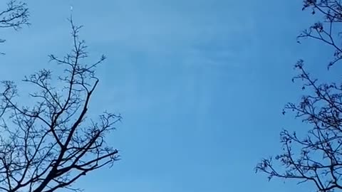 Himmel in Berlin am 16.03.2023 um 14:43 Uhr