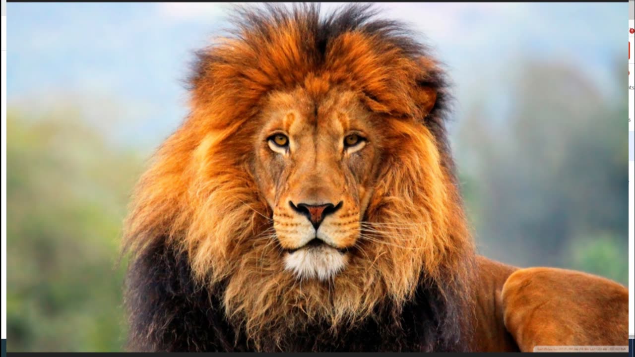 PATRIOT MIKE SHOW December 13, 2023