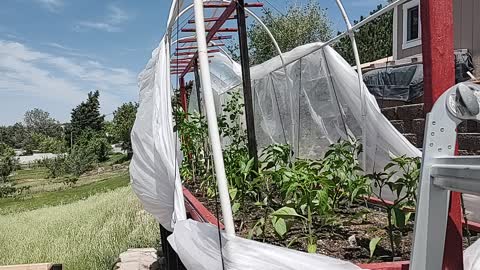 Shade cloth in the wind