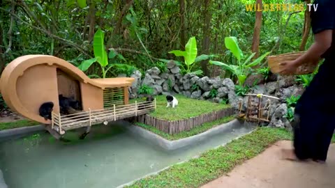 Building a dog house out of wooden pallets