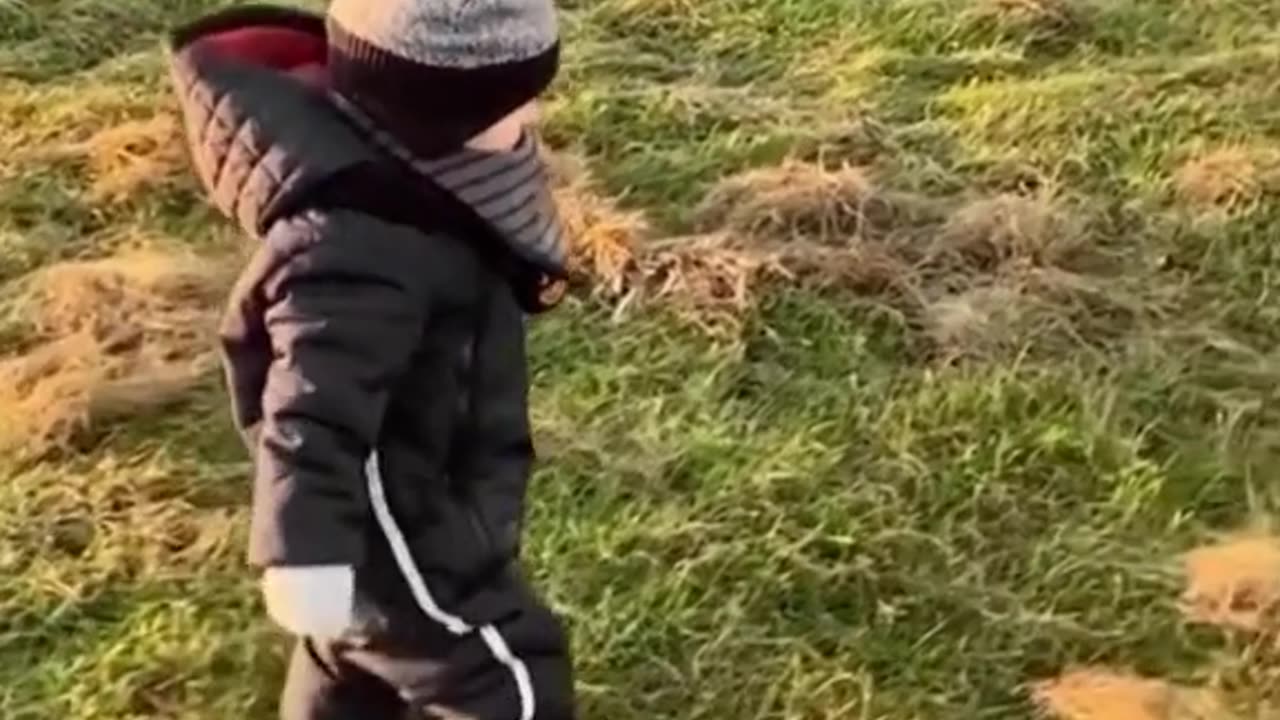Video Special effect