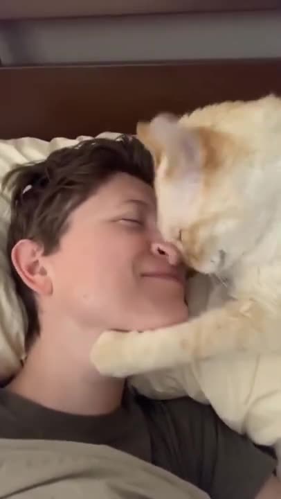 2.Cats and dogs _ cats meowing _ cats funny videos #shorts