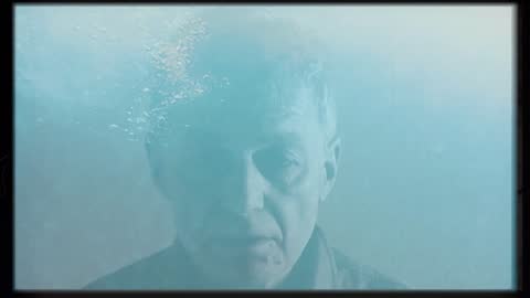 Paua - David Eggleton