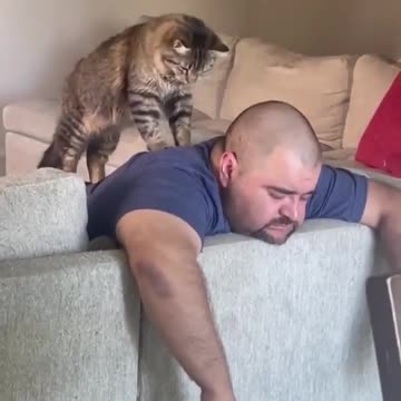 This cat is a phisioterapist!