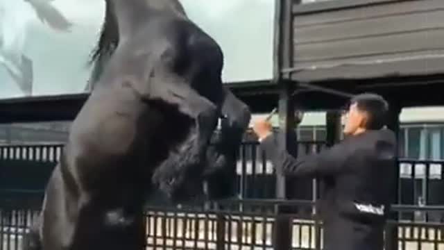 FUNNIEST VIDEO | FUNNY MOMENT | FUNNY PEOPLE AND FUNNY ANIMAL COMPILATION 🎧📒📚