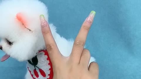 Dog cute face wash 😍😍