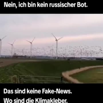 Wie viele Tiere werden jämmerlich zerfetzt?