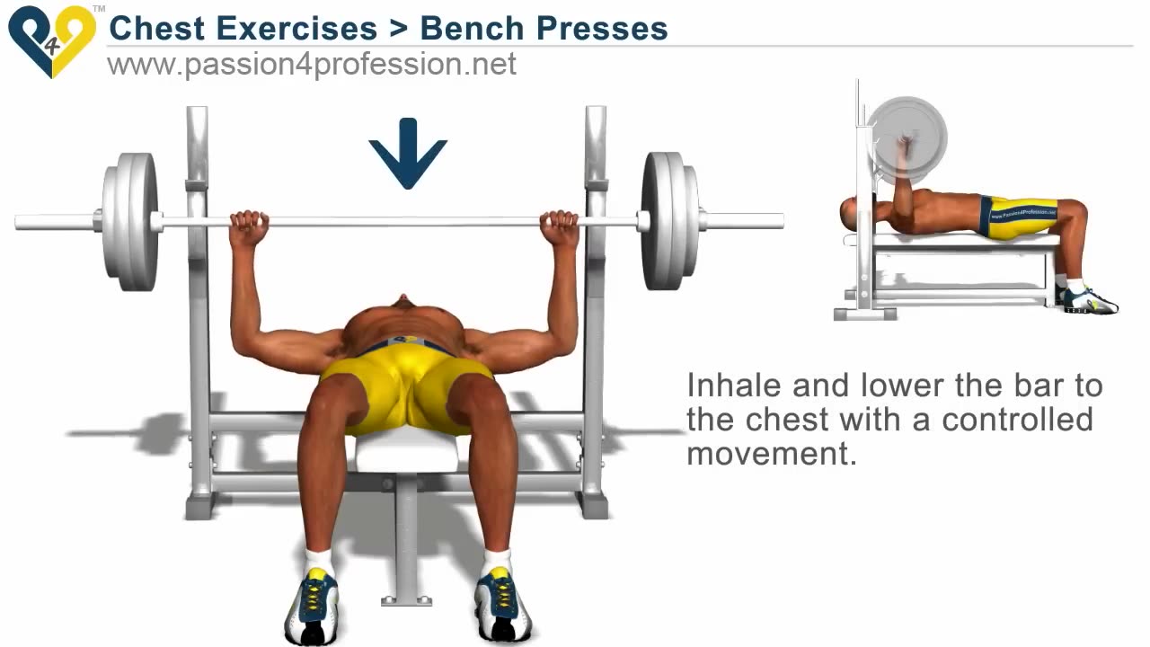 Chest Exercises - Bench Press