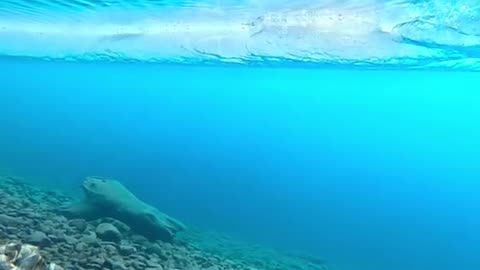 Under this lake is a hidden wonderland 😍 #alaska