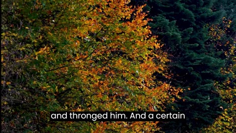 Mark Chapter 5