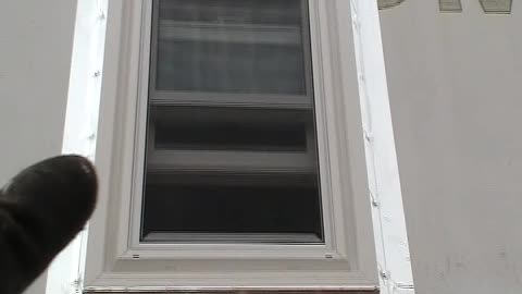The Off Grid Project 67 Windows