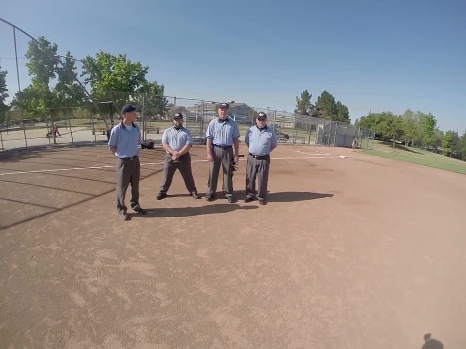 Umpire Training Introduction