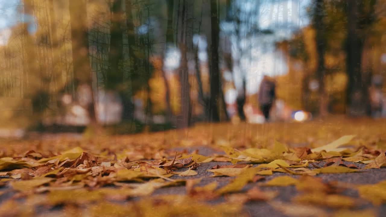 Enchanting Autumn Forests with Beautiful Piano Music