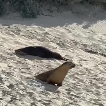 Making a grand entrance 🤣