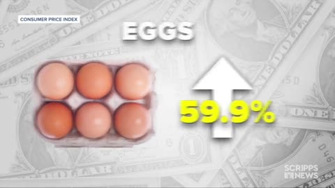 It's not just eggs; other foods are up sharply in price