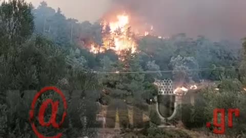 Ρόδος φωτιά