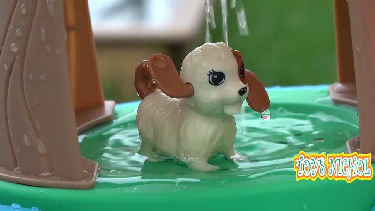 Puppies and Kittens Play on the Slide and Fall into the Water