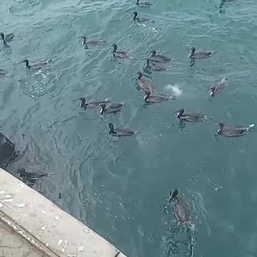 Los 5 segundos más increíbles