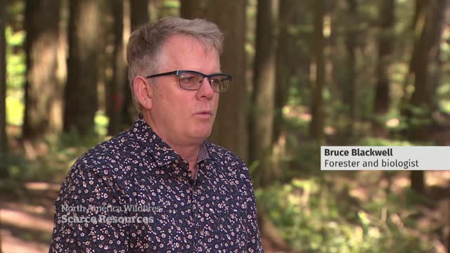 Firefighting resources stretched thin by North American wildfires