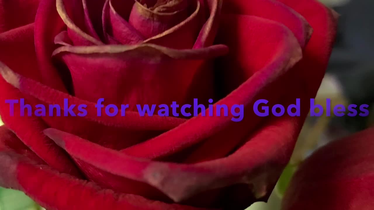 The Bible reading of the day: Deuteronomy 18:1-8 and John 10:22-42