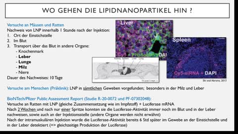 Dr. Schmidt-Krüger zu den Wirkungen der Lipid-Nanopartikel in Impfstoffen