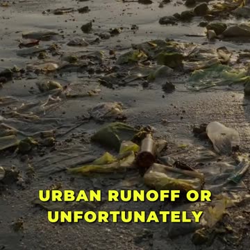 🌊🌿 The Silent Transformation of Plastics 🌿🌊