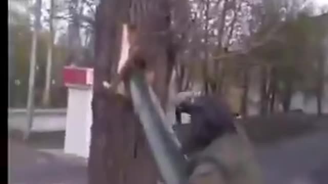 Russian idiots