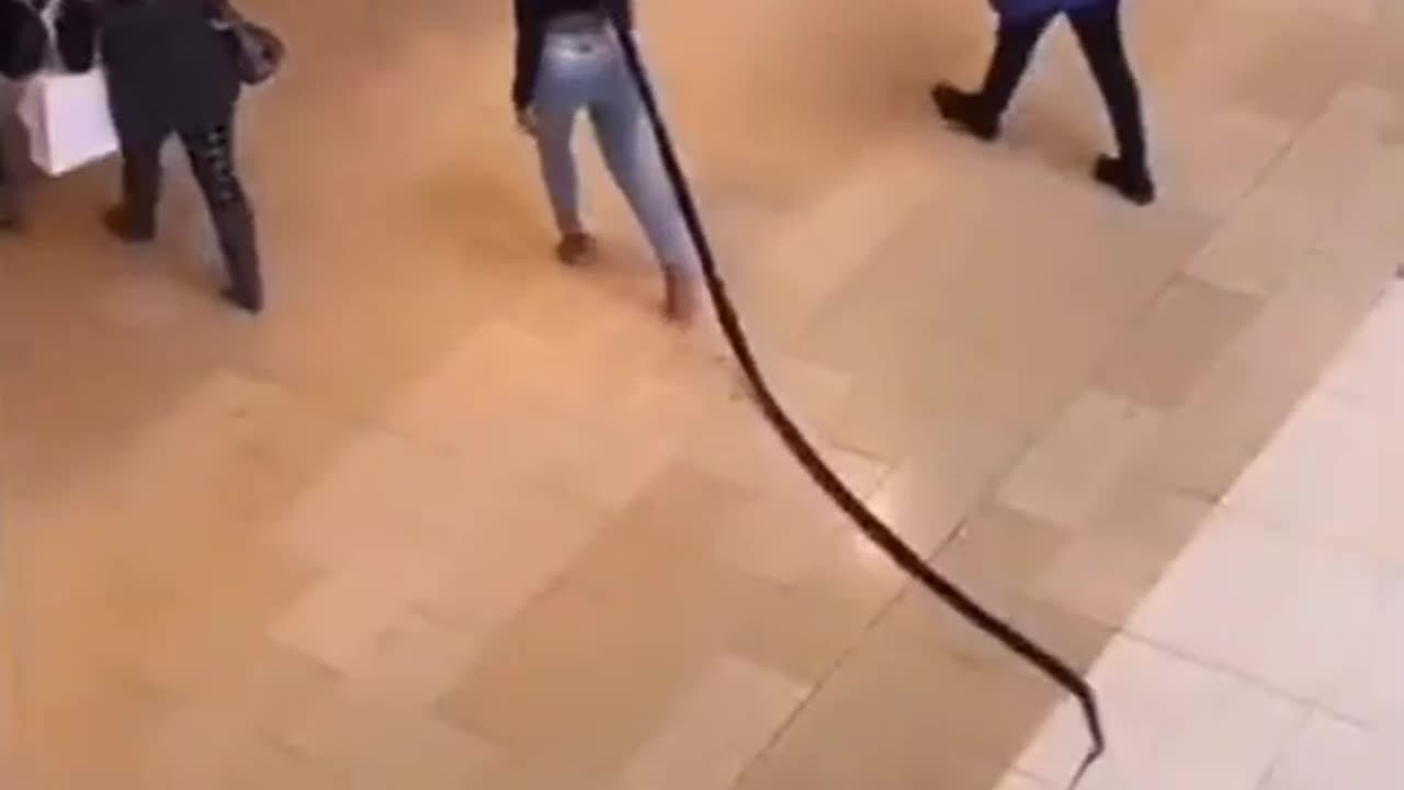 Long braids in public
