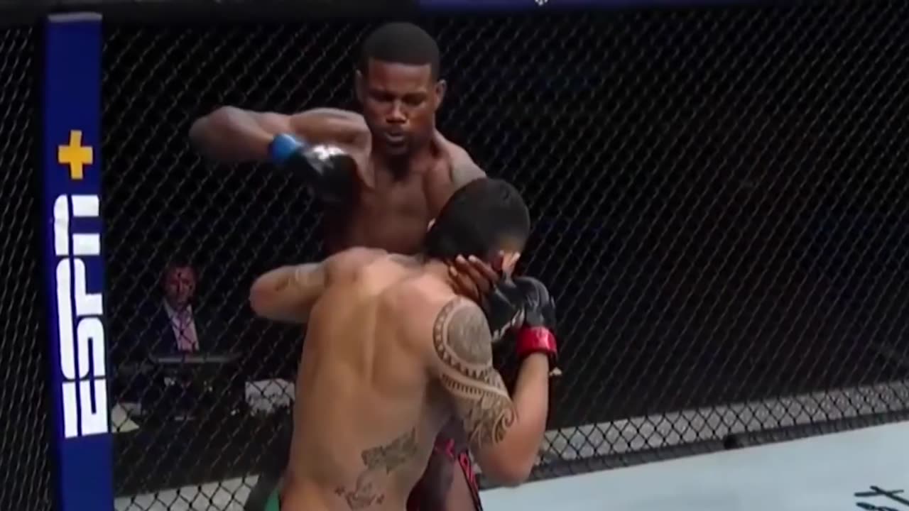 most brutal knockouts in UFC fighting