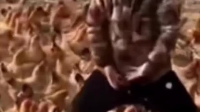 Вне политики...с юмором...так этоувидела я...Всем мира и добра✊
