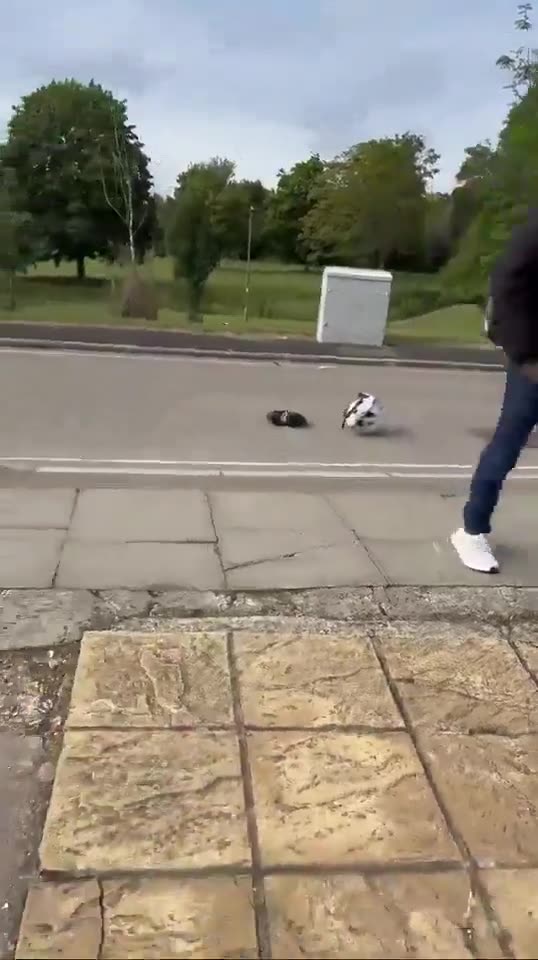 The usual suspect in London steals a scooter and no one intervenes, they just
