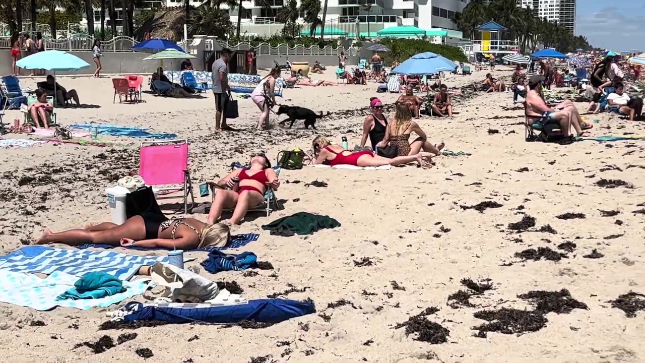 🇺🇸 Hot day at Miami beach walk beach walk 1080P