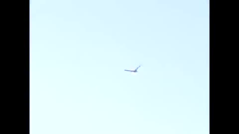 Human enslavement explained