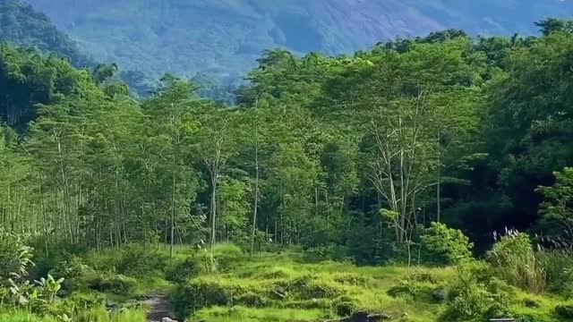 Coba tag temen2mu buat diajak seru2an naik jeep