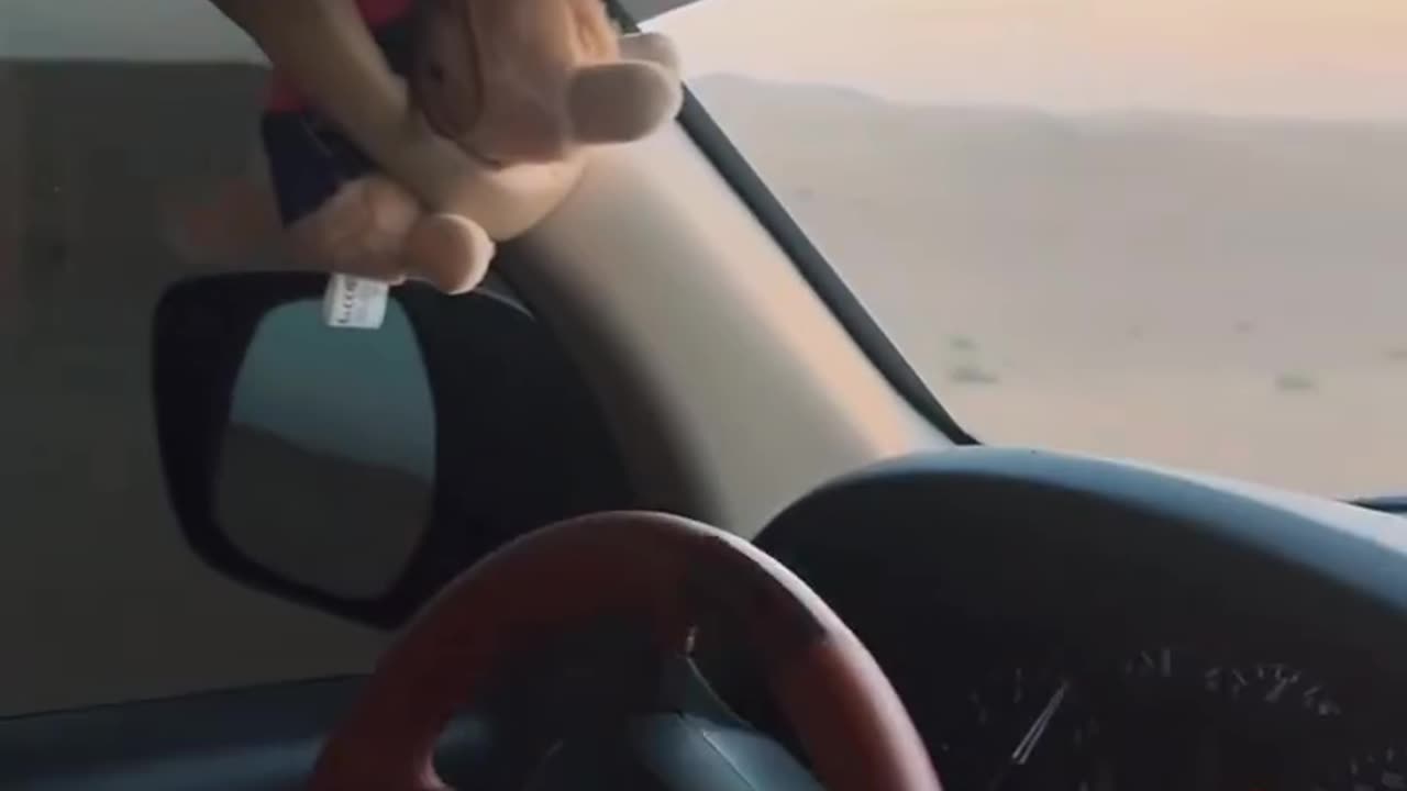 Life of Dubai lets explore more things with me✈️🕊️