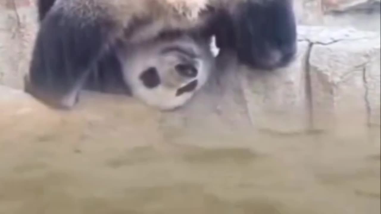 How life is presently