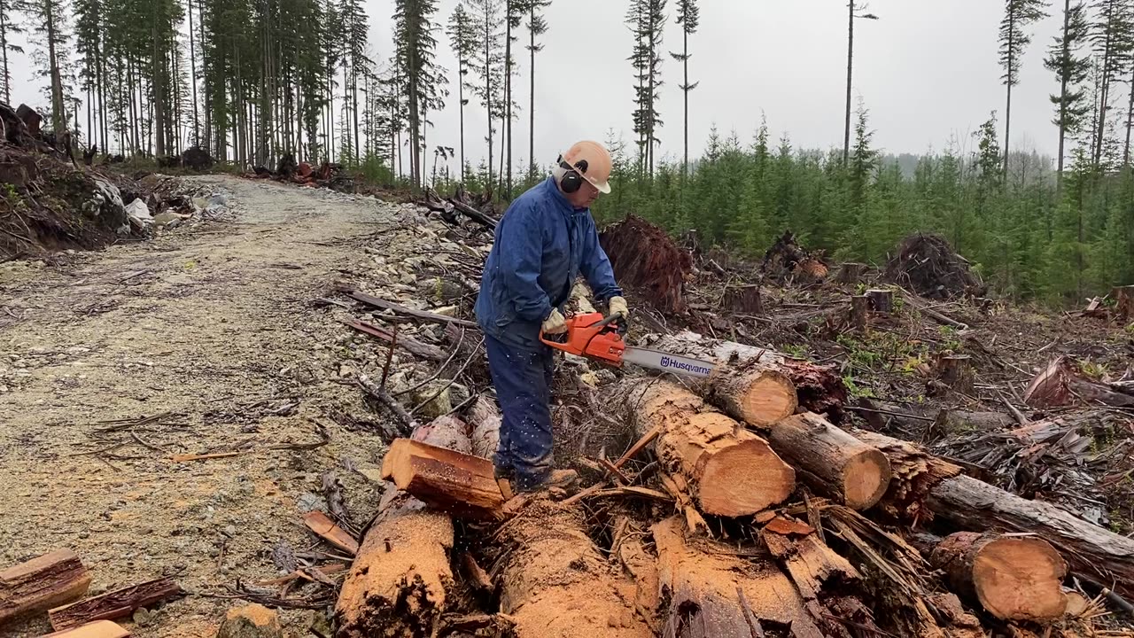 Out firewood cutting with Dad.