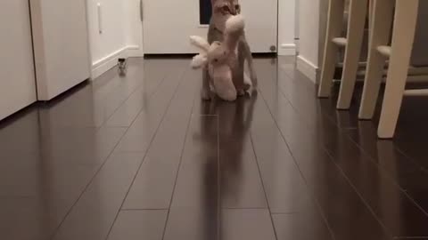 moved