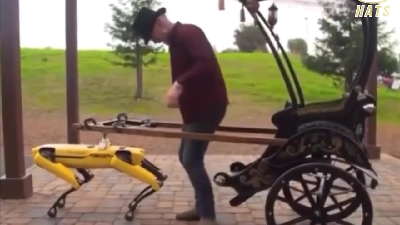 When you are a time traveller and find they have eliminated all the animals in 2030 😒🤨