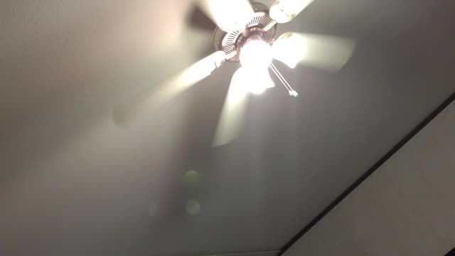 Celling fan