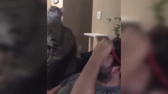 try not to laugh at these amazing pet videos