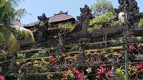 Ubud Center