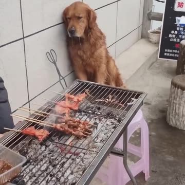 What are the hardest moments?