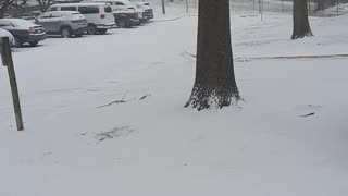 Second snow ❄ accumulation!