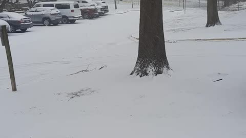 Second snow ❄ accumulation!