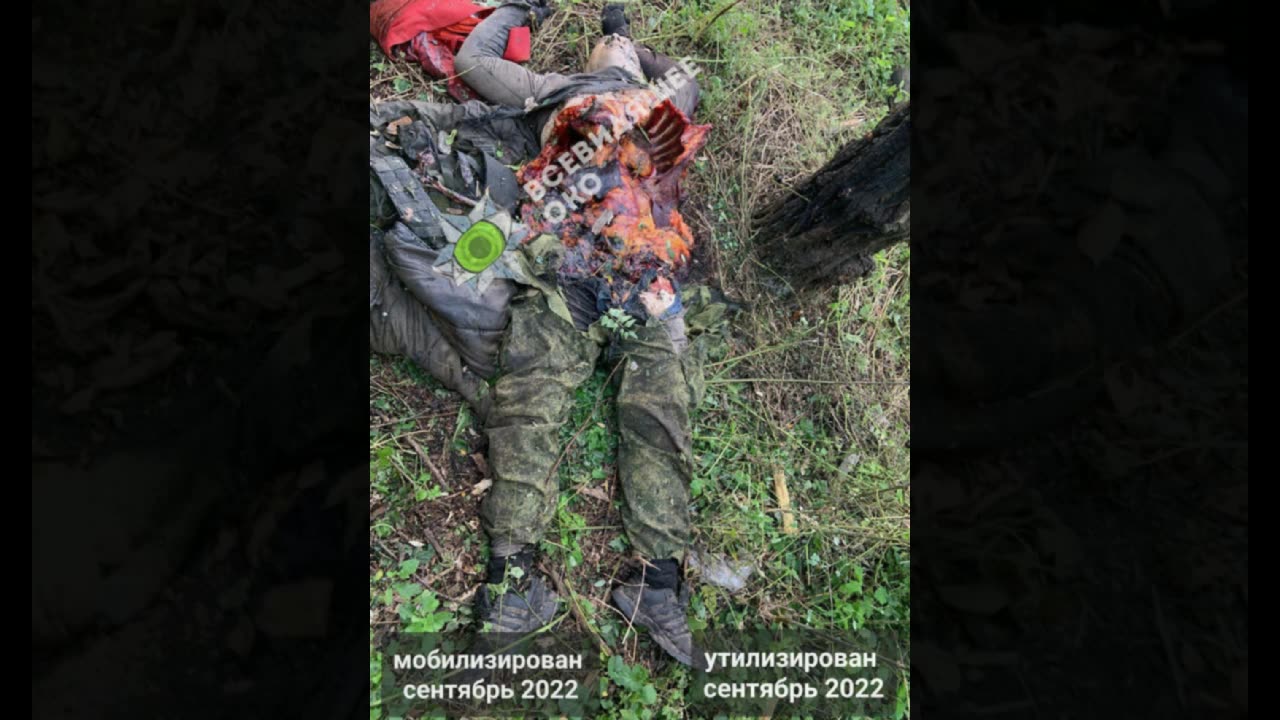 War in Ukraine Bloodline part 30