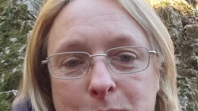 dog walking diary 15