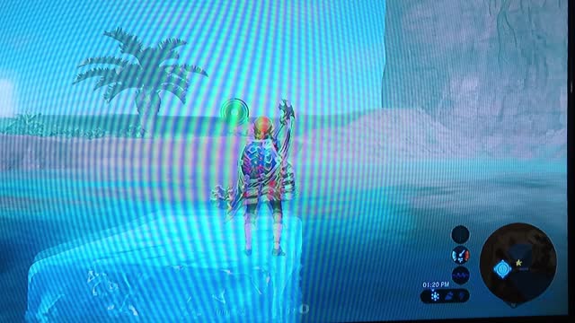 BOTW Glitch 2 - Walking Underwater