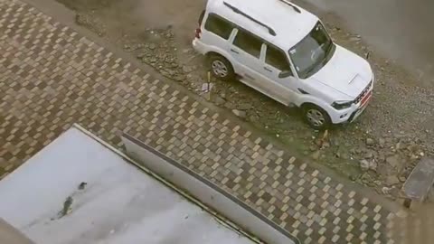 Mahindra Scorpio 🦂