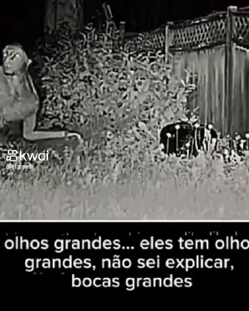 NEW IMAGES OF THE ET THAT APPEARED IN THE BACKYARD IN LAS VEGAS AFTER HIS SHIP CRASHES PART 1